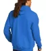 Champion S700 Logo 50/50 Pullover Hoodie in Royal blue back view