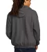 S800 Champion Adult Eco in Charcoal heather back view