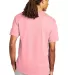 T425 Champion Adult Short-Sleeve T-Shirt T525C in Pink candy back view