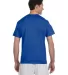 T425 Champion Adult Short-Sleeve T-Shirt T525C in Royal blue back view