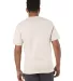 T425 Champion Adult Short-Sleeve T-Shirt T525C in Oatmeal heather back view