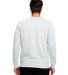US8000 US Blanks Men's Triblend Pullover in Ash heather grey back view