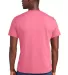  DT6000 District Young Mens Very Important Tee in Awrnspink back view