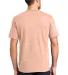  DT6000 District Young Mens Very Important Tee in Dusty peach back view