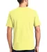  DT6000 District Young Mens Very Important Tee in Lemon yellow back view