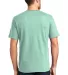  DT6000 District Young Mens Very Important Tee in Mint back view