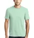  DT6000 District Young Mens Very Important Tee in Mint front view