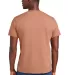  DT6000 District Young Mens Very Important Tee in Nstlgiarse back view