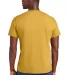  DT6000 District Young Mens Very Important Tee in Ochreylw back view