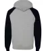 96CR JERZEES - Nublend® Colorblocked Hooded Pullo Oxford/ Black back view