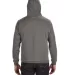 8815 J. America - Tailgate Hooded Sweatshirt Charcoal Heather back view