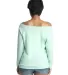 Next Level 6951 Terry Raw-Edge 3/4-Sleeve Raglan  in Mint back view