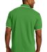 K454 Port Authority® Rapid Dry™ Tipped Polo in Vine green/wht back view