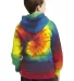 PC146Y Port & Company® Youth Essential Tie-Dye Pu in Rainbow back view