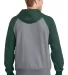 ST267 Sport-Tek® Raglan Colorblock Pullover Hoode For Grn/Vnt He back view
