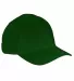 BX034 Big Accessories 5-Panel Brushed Twill Cap FOREST front view