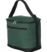 1695 Liberty Bags - Joseph Twelve-Pack Cooler FOREST GREEN side view