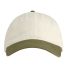 econscious EC7000 Organic Twill Dad Hat in Oyster/ jungle front view