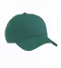 econscious EC7000 Organic Twill Dad Hat EMERALD FOREST front view