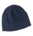EC7040 econscious Organic Beanie PACIFIC front view