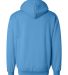 1254 Badger - Hooded Sweatshirt in Columbia blue back view