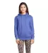 97200 Adult Unisex French Terry Hoodie in Royal heather front view