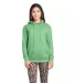 97200 Adult Unisex French Terry Hoodie in Kelly heather front view