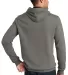 DT810 District® - Young Mens The Concert Fleece?? Grey back view