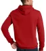 DT810 District® - Young Mens The Concert Fleece?? New Red back view