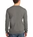 DT820 District® Young Mens The Concert Fleece™  Grey back view