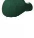 NE1000 New Era® - Structured Stretch Cotton Cap in Dark green back view