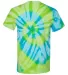 56 Dyenomite Tie-Dye Adult Typhoon Tee  in Bora bora back view