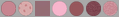 Rabbit Skins 3321 TODDLER FINE JERSEY TEE - Swatch